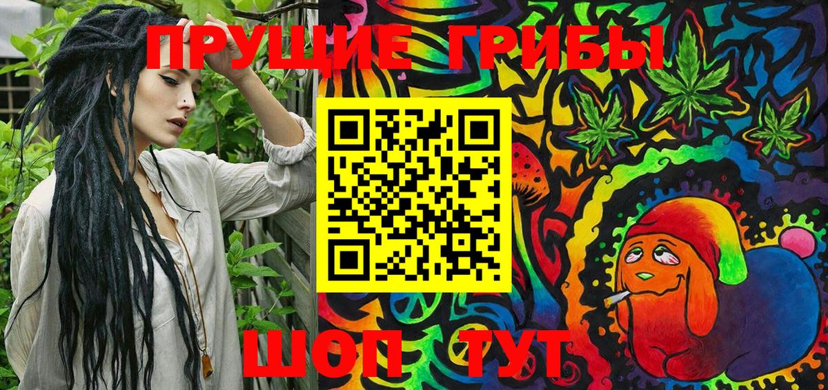 Видное  Псилоцибиновые грибы Psilocybe  Вход с VPN 